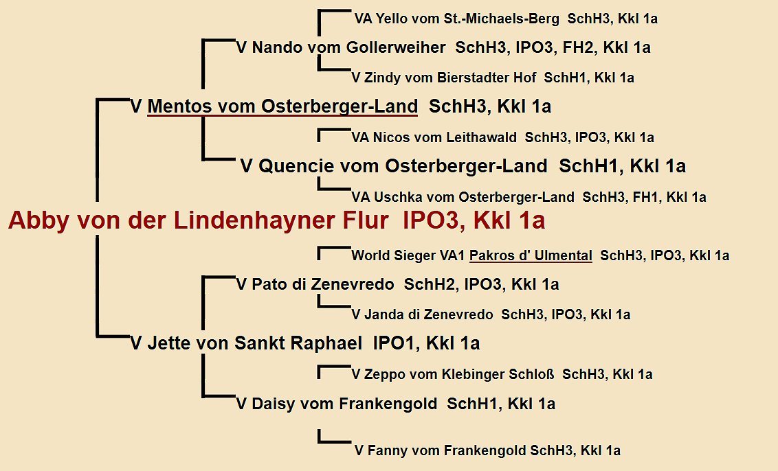 Mega vom Zellwaldrand Pedigree
