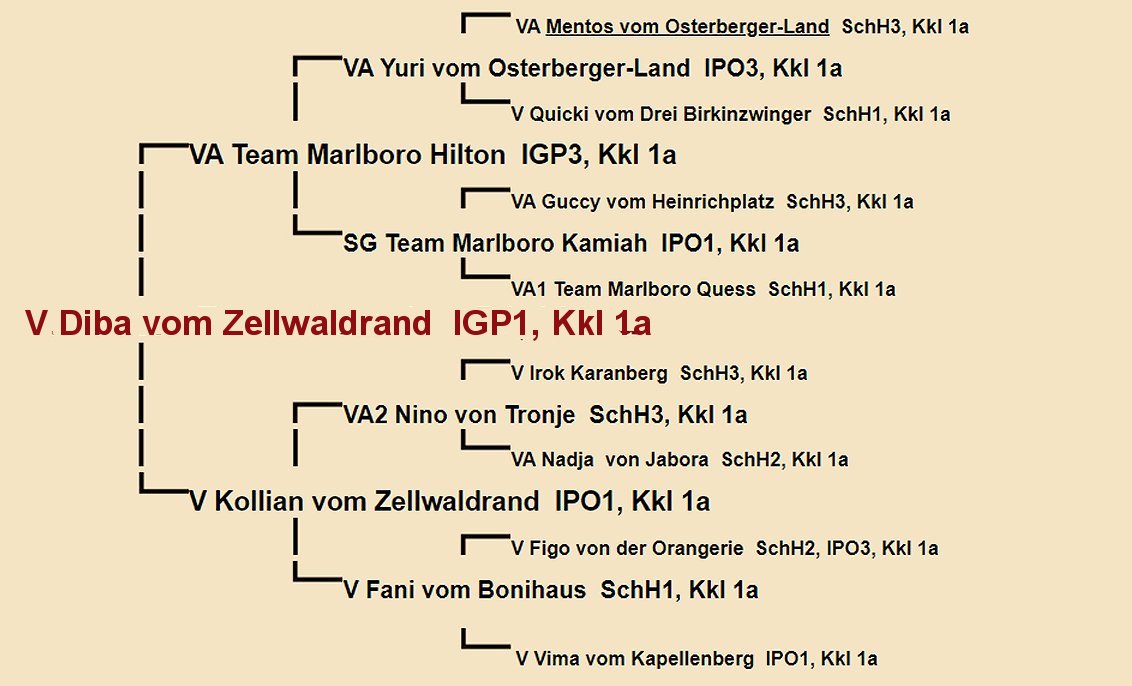 Diba vom Zellwaldrand Pedigree