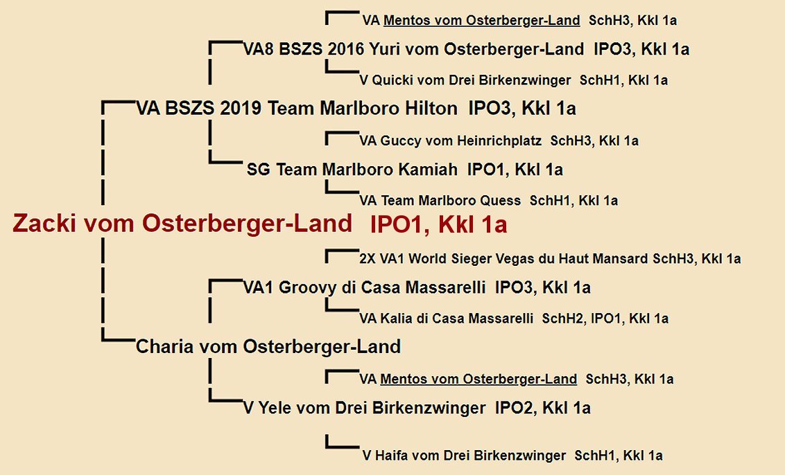 Zacki vom Osterberger-Land Pedigree
